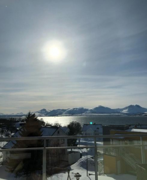 Arctic Homestay with Northern light viewpoint